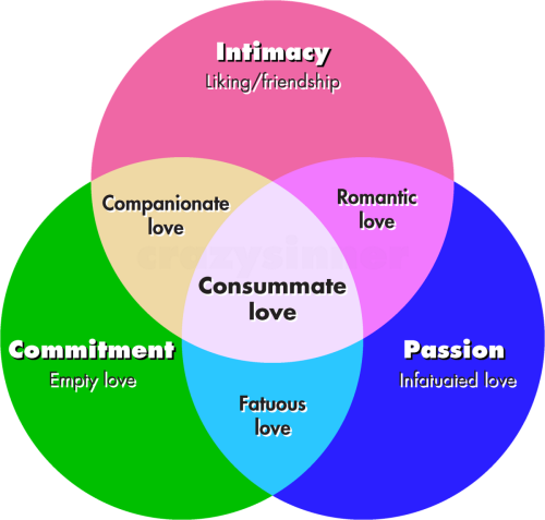 e-Marriage Course - Self Study